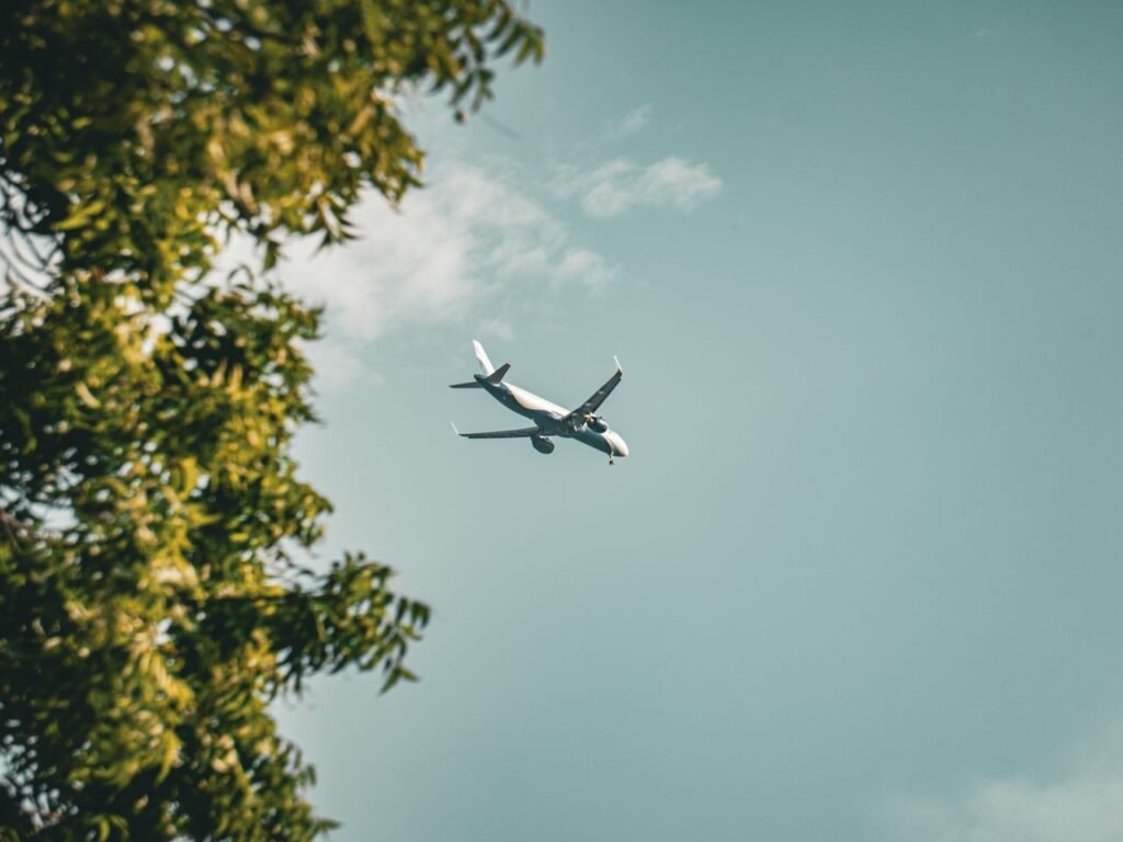 The Art of Drawing Readers In: Your attractive post title goes here An airplane flies overhead against a clear sky, framed by leafy green branches.